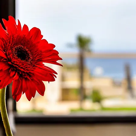 Palazzo Migliaccio By Casa Di Marco *