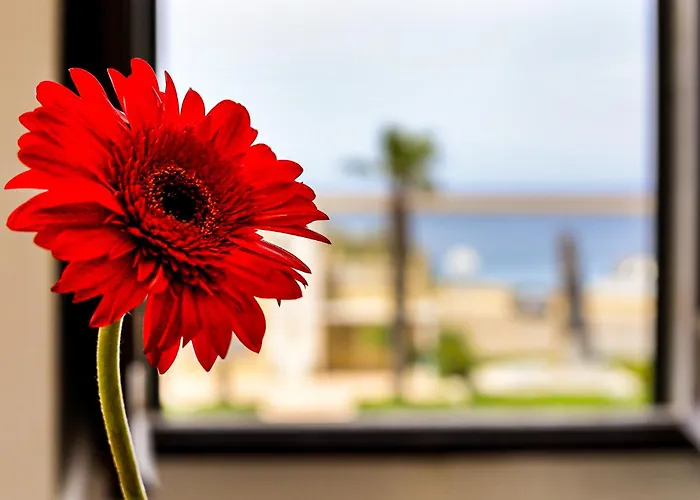 Palazzo Migliaccio By Casa Di Marco *